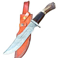 Hunting Bowie Knife Stag Antler Fixed Blade 12 Inch